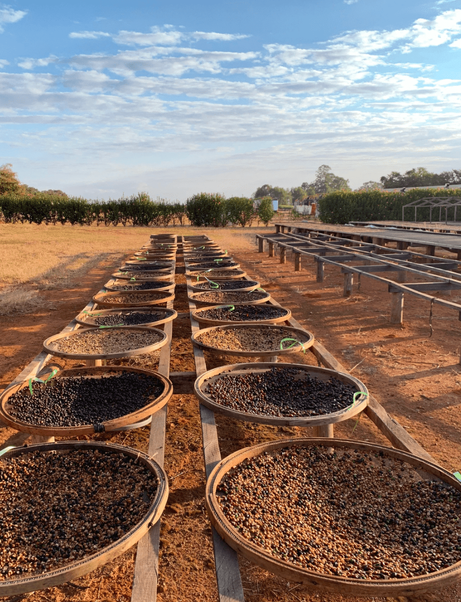 Espresso Blend - Character Coffee Roasters