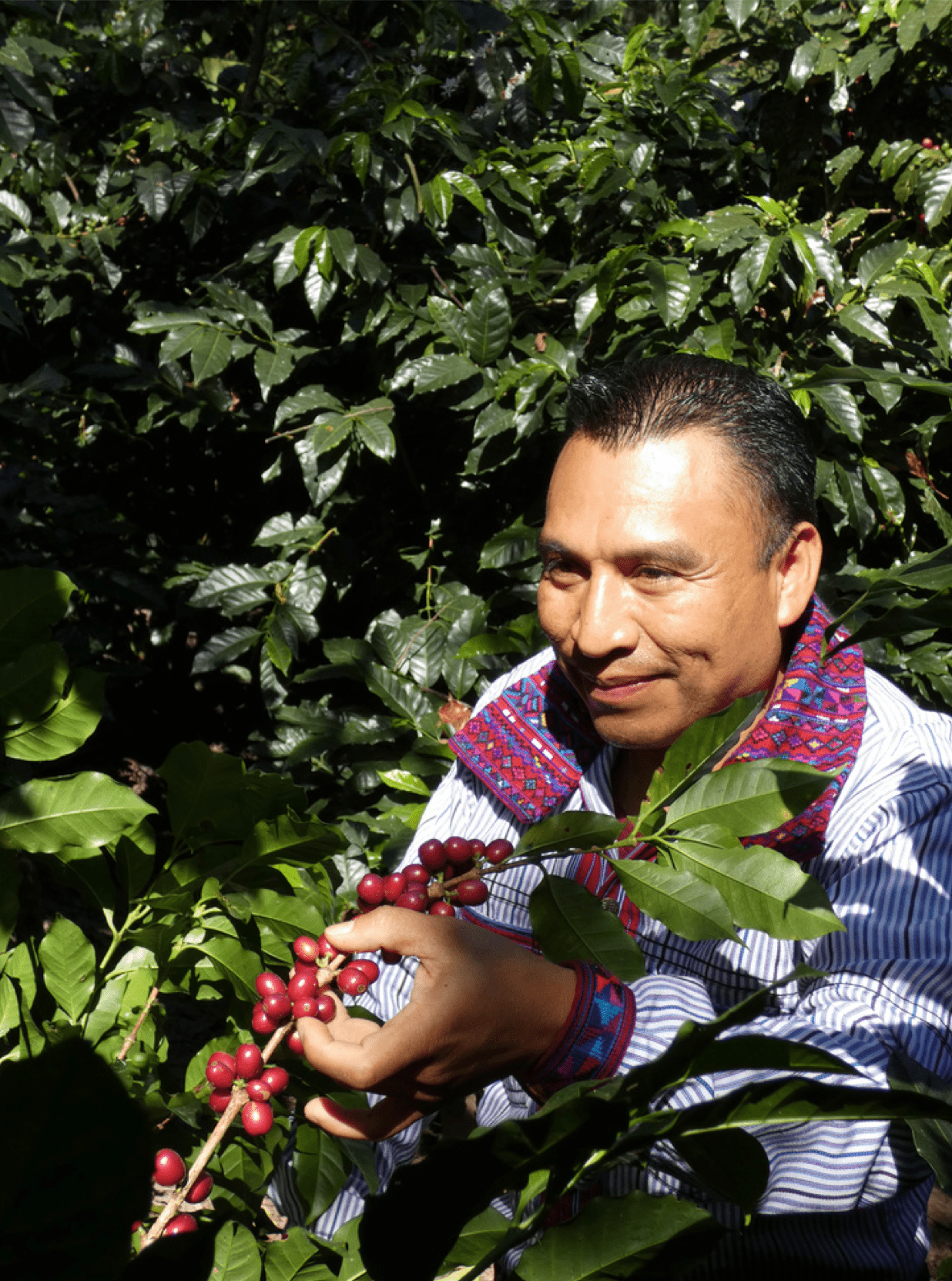 The Crowd Pleaser - Character Coffee Roasters