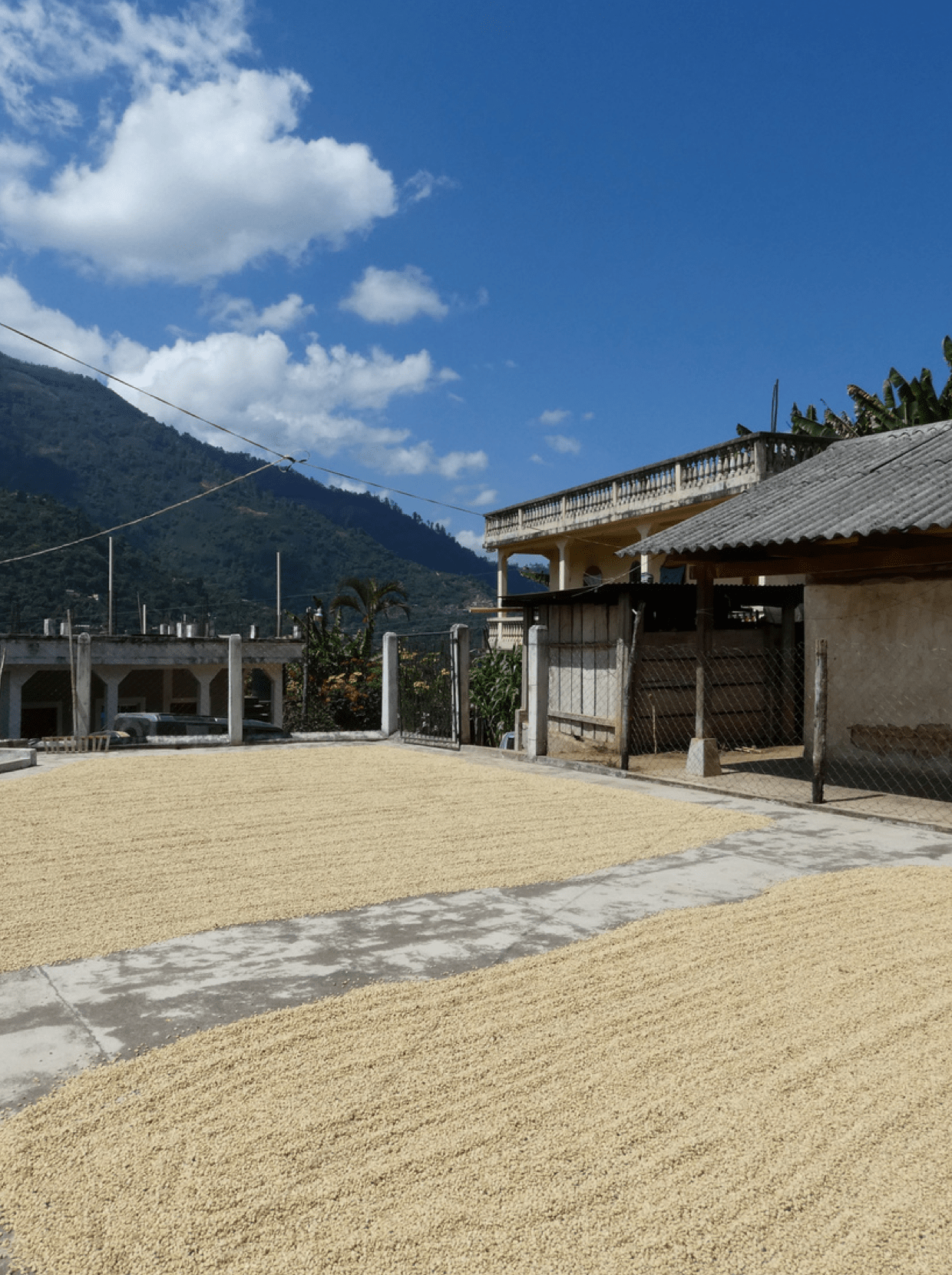 The Crowd Pleaser - Character Coffee Roasters