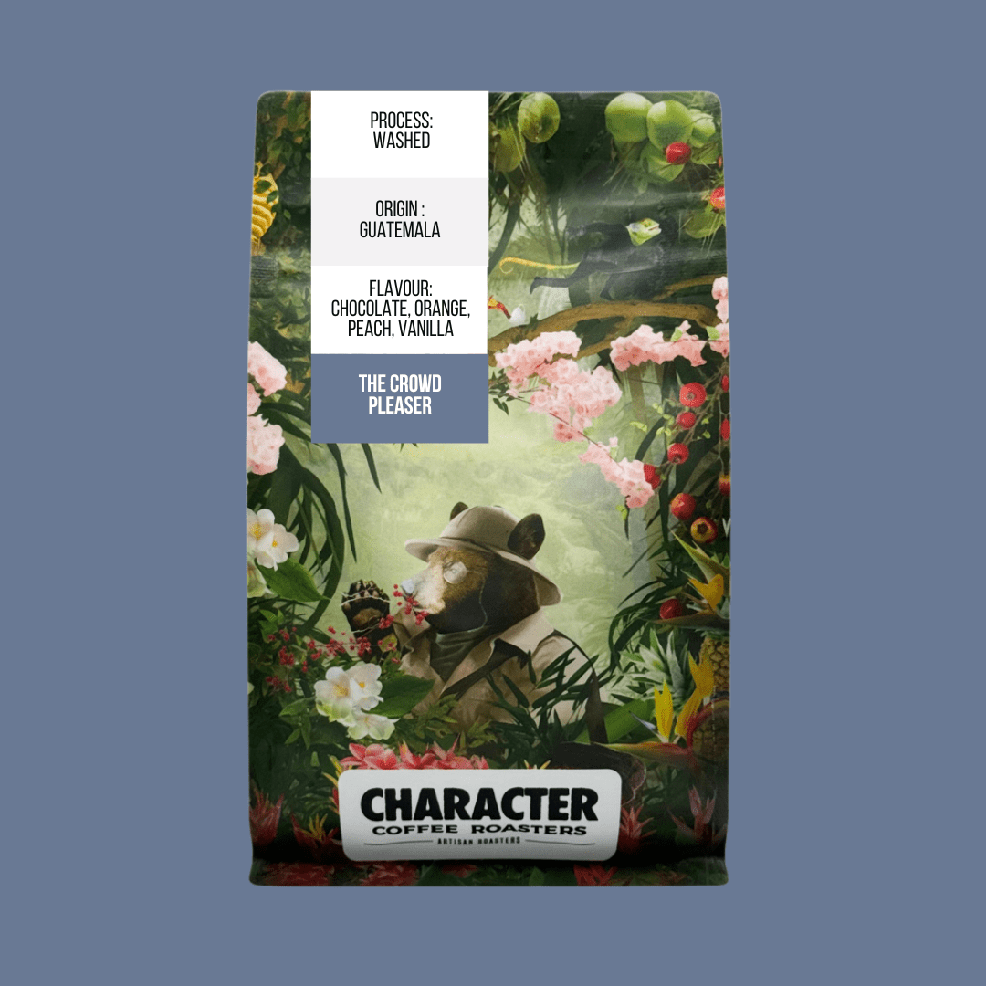 The Crowd Pleaser - Character Coffee Roasters