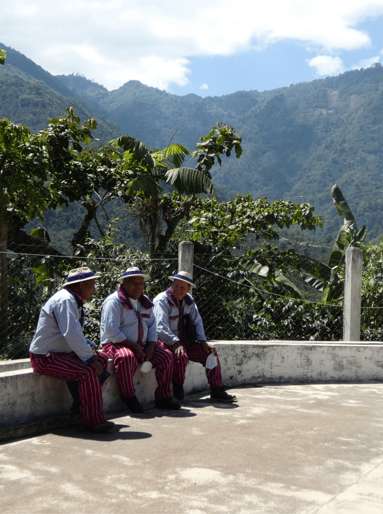 The Crowd Pleaser - Character Coffee Roasters