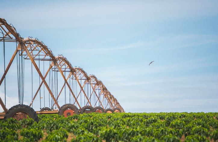 The Decaffeinated One - Character Coffee Roasters