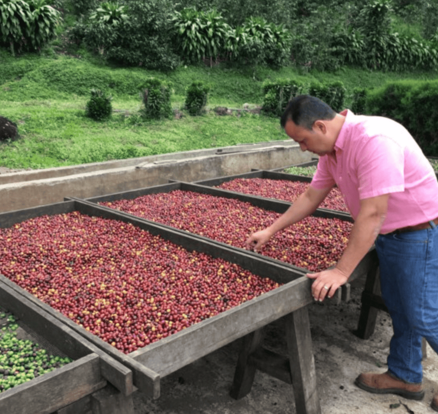 The Funky One - Character Coffee Roasters