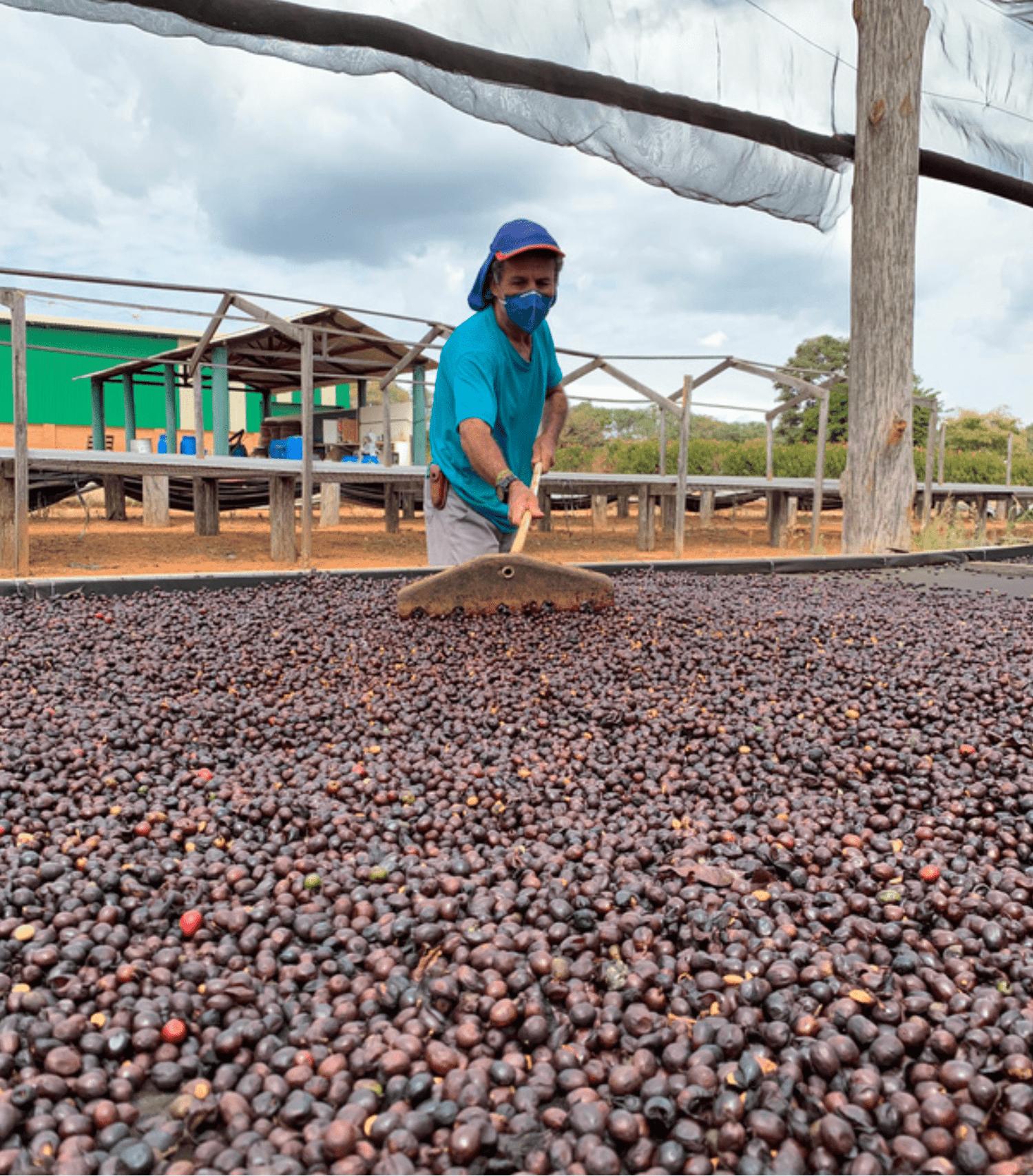 The Rich One - Character Coffee Roasters