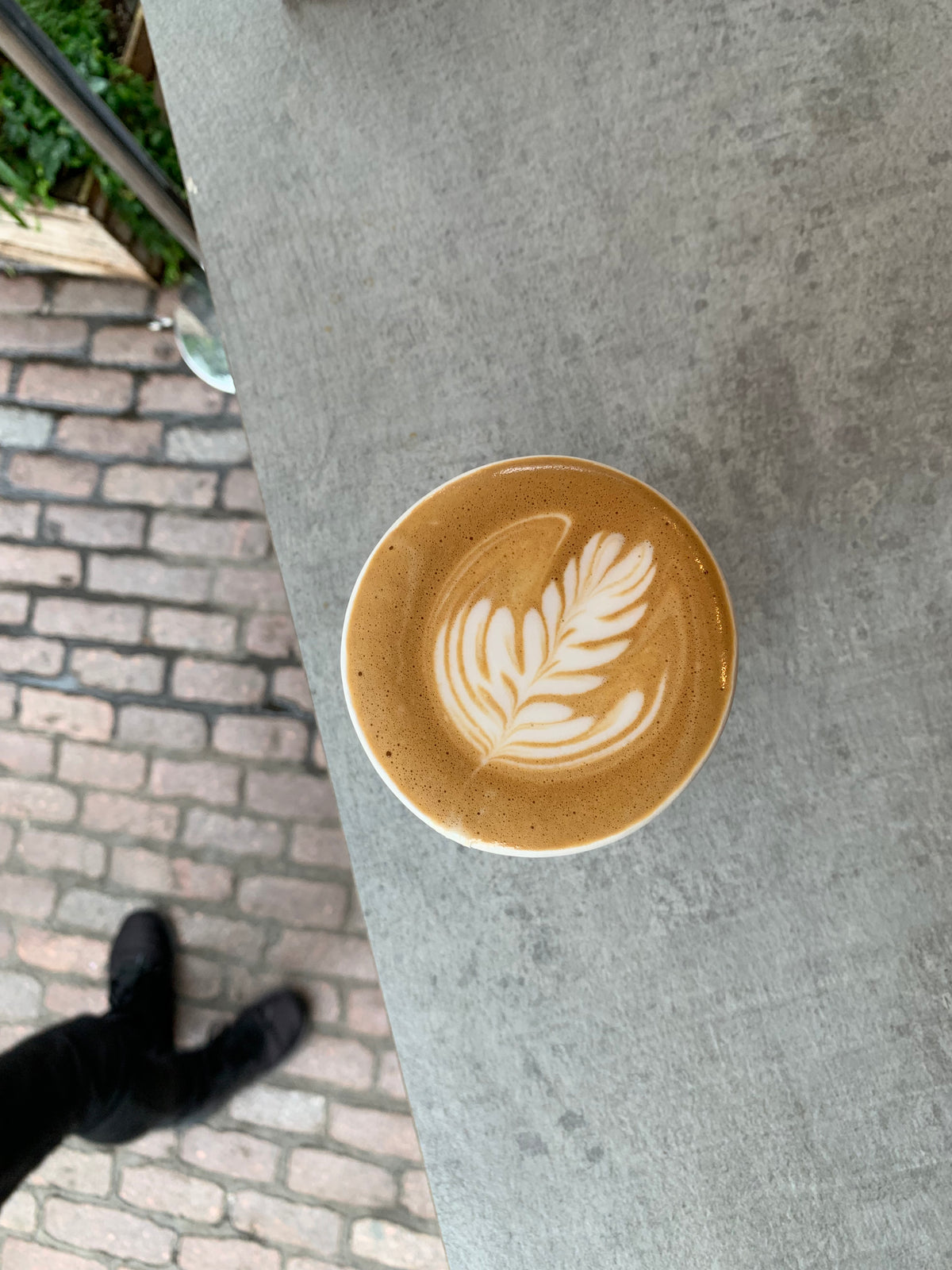The Single | Guatemala Monte Cristo