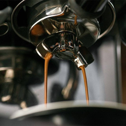 Sage Barista Touch Black Truffle Espresso Machine - Character Coffee Roasters